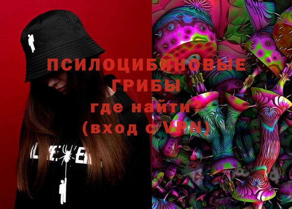 СК Куйбышев