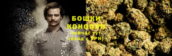 ECSTASY Краснослободск