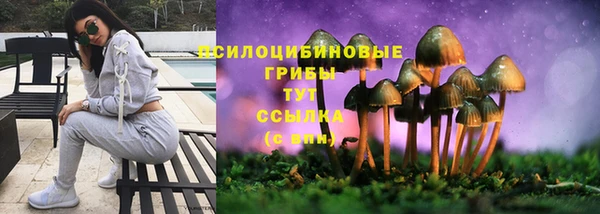 ECSTASY Краснослободск
