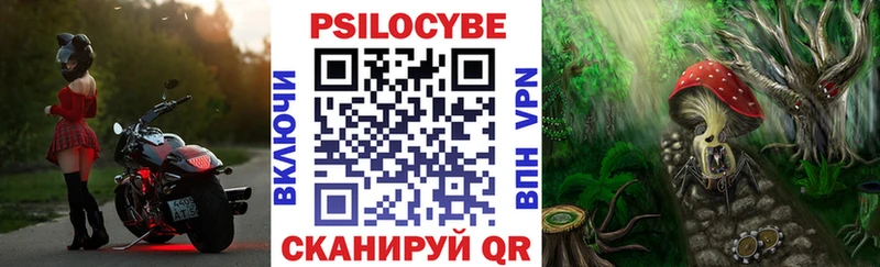 blacksprut ссылка  даркнет сайт  Льгов  Псилоцибиновые грибы Magic Shrooms 