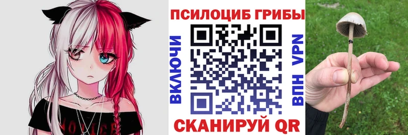 Галлюциногенные грибы ЛСД Льгов